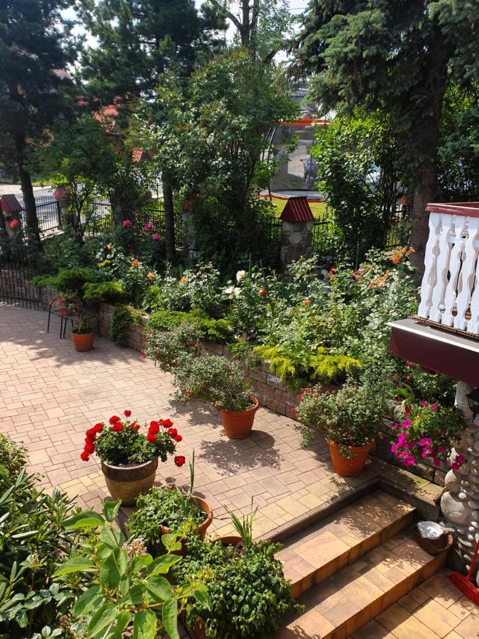 Willa Irys Bukowina Tatrzańska Exterior foto
